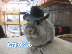 150131e.gif