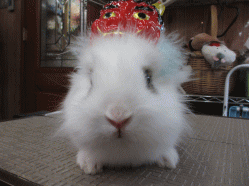 150202h.gif