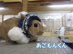 150202k.gif