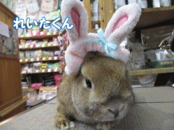 150202m.gif