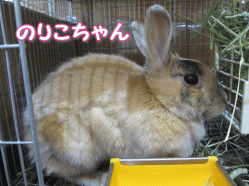 150205a.gif