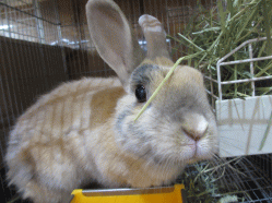 150205b.gif