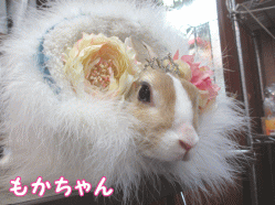 150206a1.gif