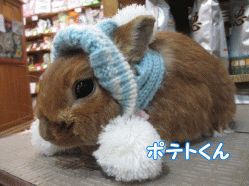150207q.gif