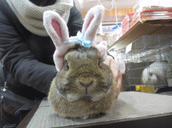 150207f.gif