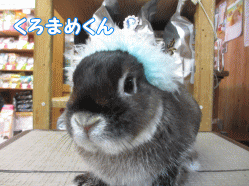150207g.gif