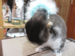 150207h.gif