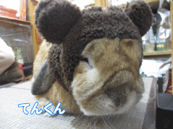 150207k.gif