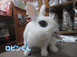 150207l.gif
