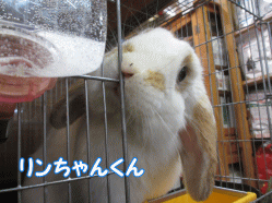 150207n.gif