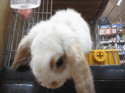 150209b.gif