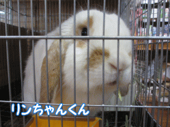 150210c.gif