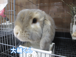 150210e.gif
