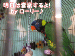 150210g.gif