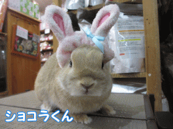 150211c1.gif