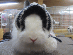 150212f.gif