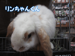 150212g.gif