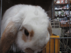 150212h.gif
