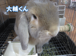 150212i.gif