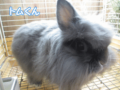 150212m.gif