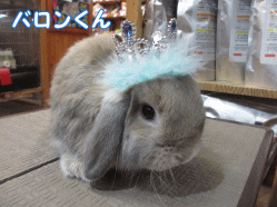 150213a1.gif