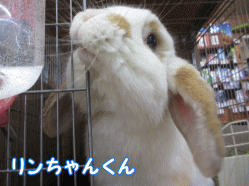 150213b1.gif