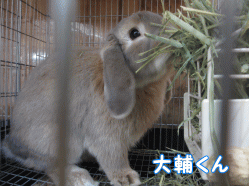 150213c1.gif