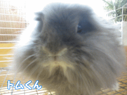 150213d1.gif