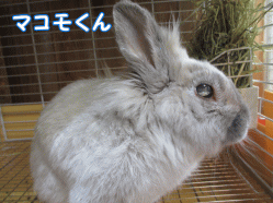 150213e1.gif