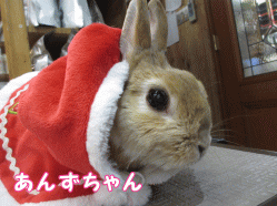 150213f1.gif