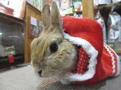 150213f2.gif