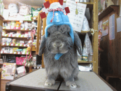 150214f.gif