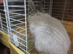 150214p.gif