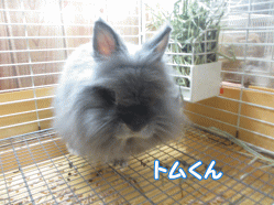 150214q.gif