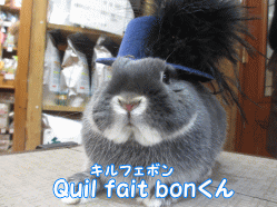 150215e1.gif