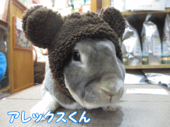 150215g1.gif