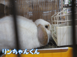 150215l1.gif