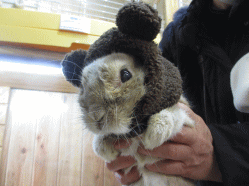 150216b.gif