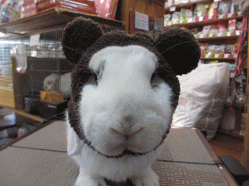 150219b.gif