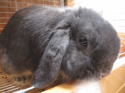150219h.gif