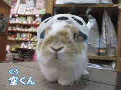 150220a1.gif