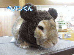 150221a.gif