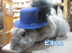 150221c.gif