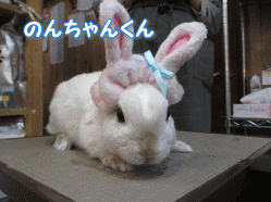 150221e.gif