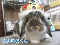 150222b1.gif