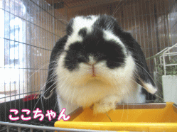 150222f1.gif