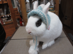 150223b.gif