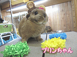 150224a.gif