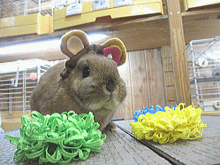 150224b.gif