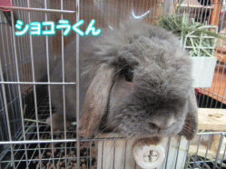 150226a.gif
